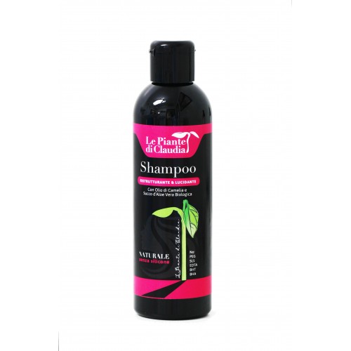 SHAMPOO RISTRUTTURANTE e LUCIDANTE